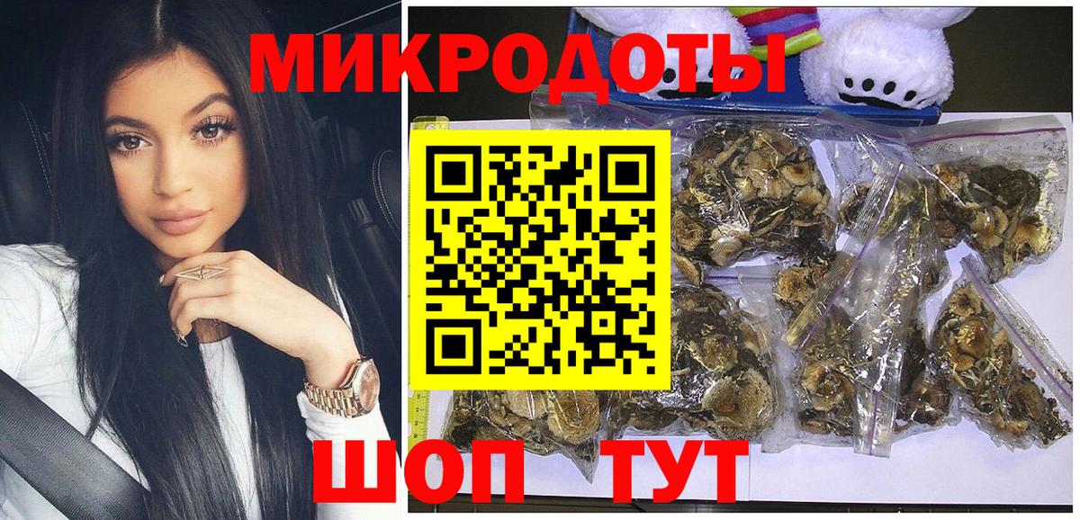 Галлюциногенные грибы Psilocybe  даркнет сайт  Петропавловск-Камчатский  Вход с VPN 